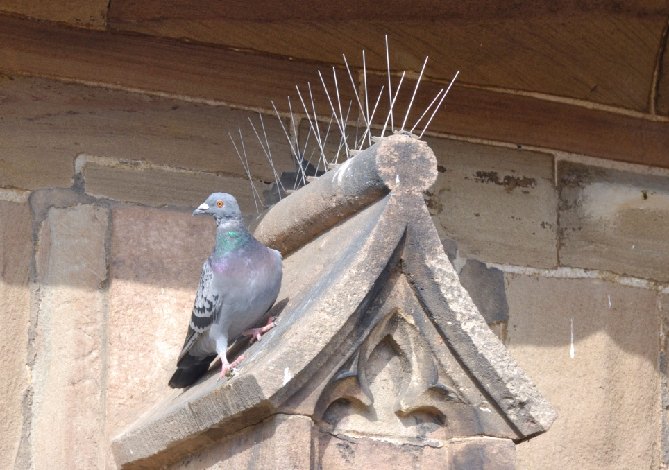 hostile architecture