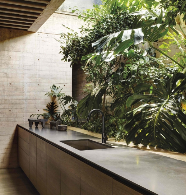 Manuel Cervantes house mexico bathroom jungle