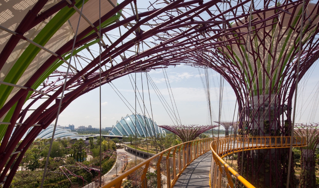 Supertree Grove, Singapore